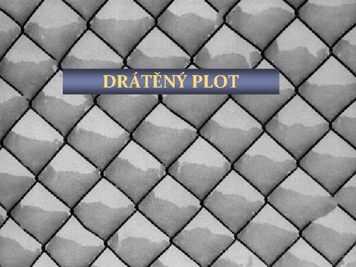 DRÁTĚNÝ PLOT 