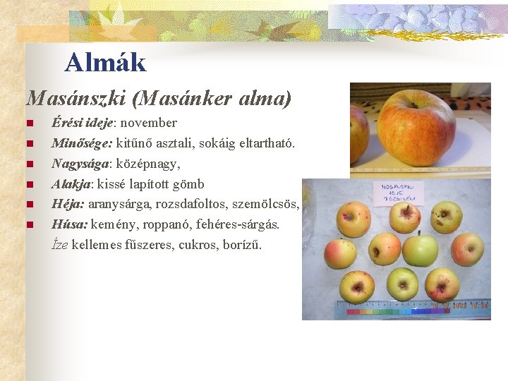 Almák Masánszki (Masánker alma) n n n Érési ideje: november Minősége: kitűnő asztali, sokáig