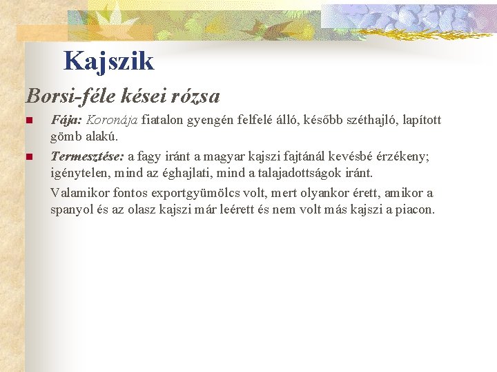 Kajszik Borsi-féle kései rózsa n n Fája: Koronája fiatalon gyengén felfelé álló, később széthajló,