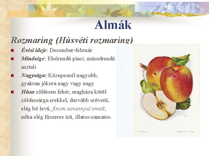 Almák Rozmaring (Húsvéti rozmaring) n n Érési ideje: December-február Minősége: Elsőrendű piaci, másodrendű asztali