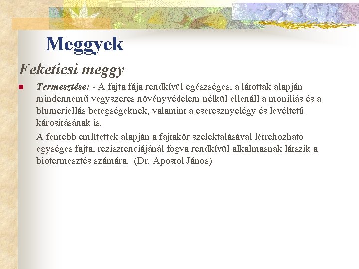 Meggyek Feketicsi meggy n Termesztése: - A fajta fája rendkívül egészséges, a látottak alapján