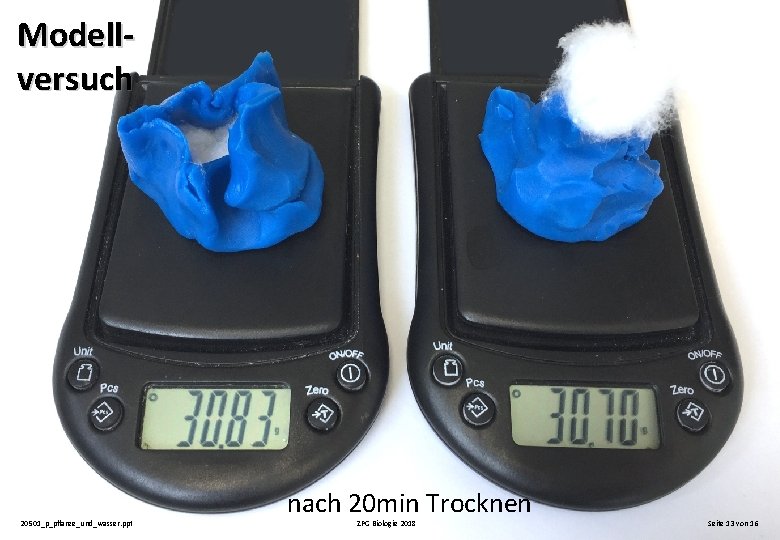 Modellversuch 20501_p_pflanze_und_wasser. ppt nach 20 min Trocknen ZPG Biologie 2018 Seite 13 von 16 Modellversuch 20501_p_pflanze_und_wasser. ppt nach 20 min Trocknen ZPG Biologie 2018 Seite 13 von 16