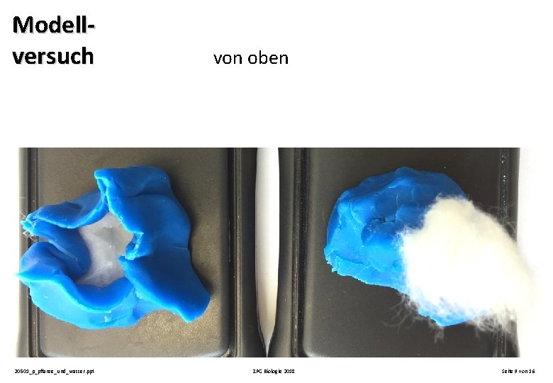 Modellversuch 20501_p_pflanze_und_wasser. ppt von oben ZPG Biologie 2018 Seite 9 von 16 Modellversuch 20501_p_pflanze_und_wasser. ppt von oben ZPG Biologie 2018 Seite 9 von 16