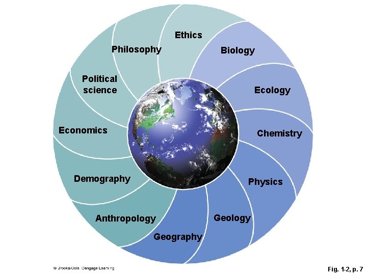 Ethics Philosophy Biology Political science Ecology Economics Chemistry Demography Physics Anthropology Geography Fig. 1