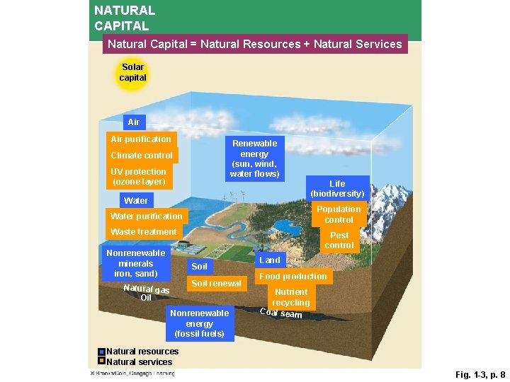 NATURAL CAPITAL Natural Capital = Natural Resources + Natural Services Solar capital Air purification
