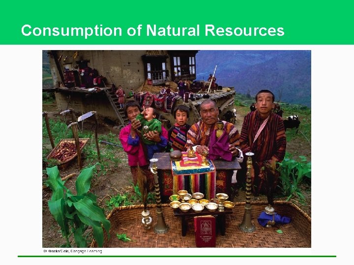 Consumption of Natural Resources 