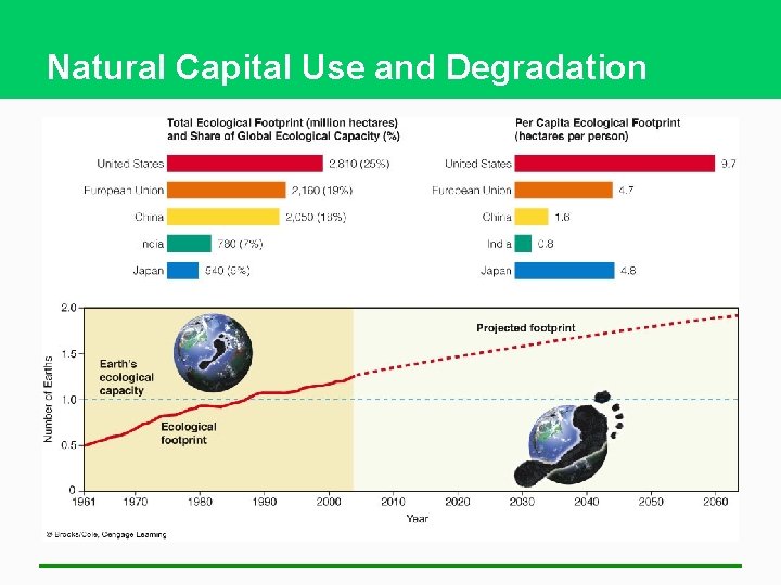 Natural Capital Use and Degradation 
