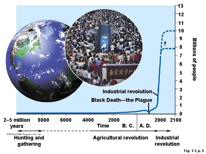 13 12 11 8 7 6 5 4 2– 5 million years 8000 Hunting