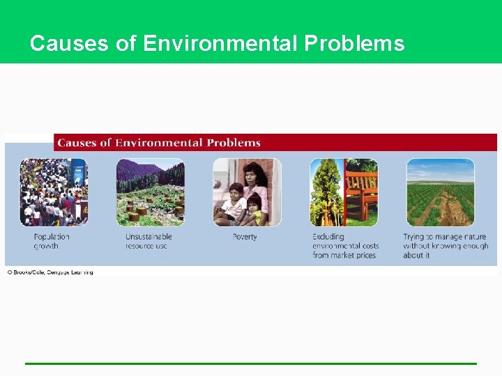 Causes of Environmental Problems 