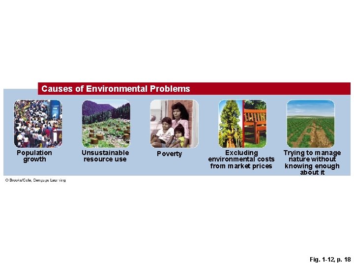 Causes of Environmental Problems Population growth Unsustainable resource use Poverty Excluding environmental costs from