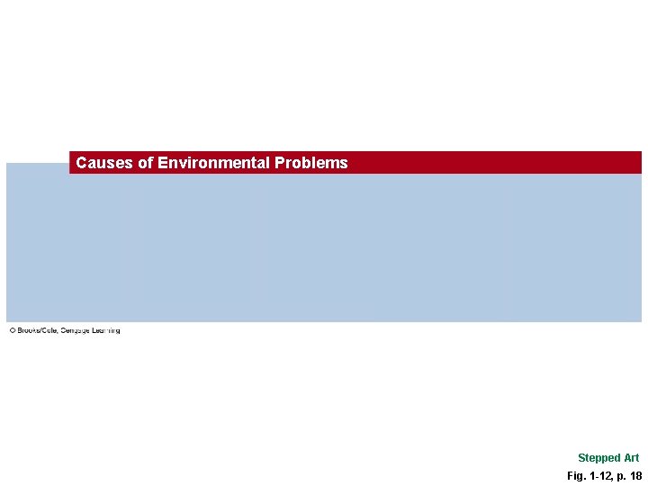 Causes of Environmental Problems Population growth Unsustainable resource use Poverty Excluding environmental costs from