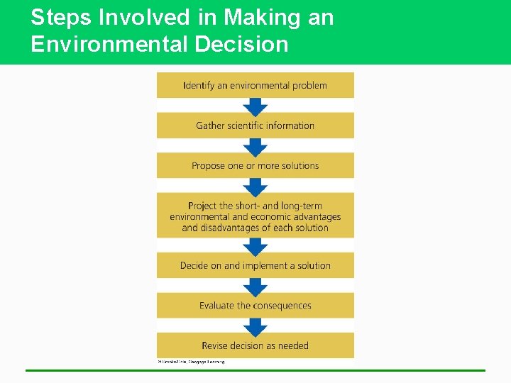 Steps Involved in Making an Environmental Decision 