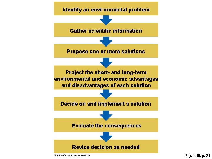Identify an environmental problem Gather scientific information Propose one or more solutions Project the