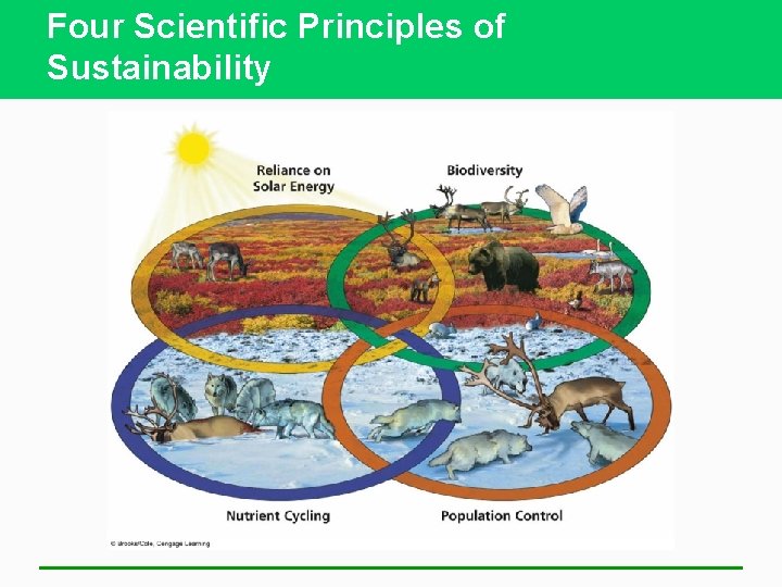 Four Scientific Principles of Sustainability 