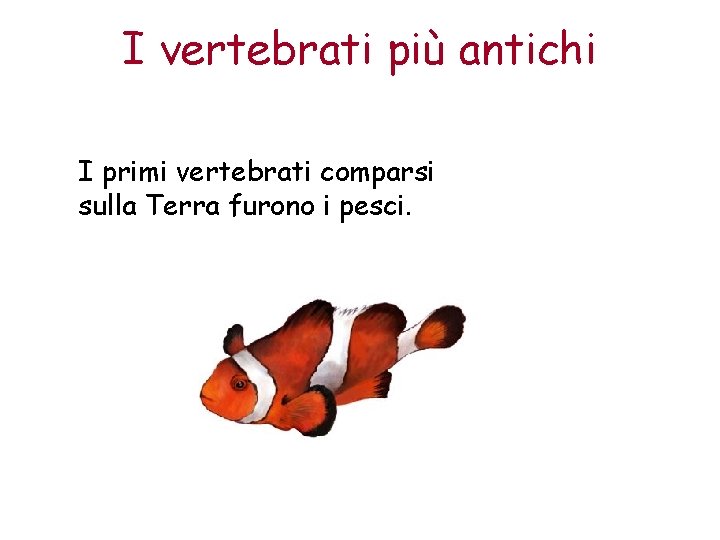 I vertebrati più antichi I primi vertebrati comparsi sulla Terra furono i pesci. 