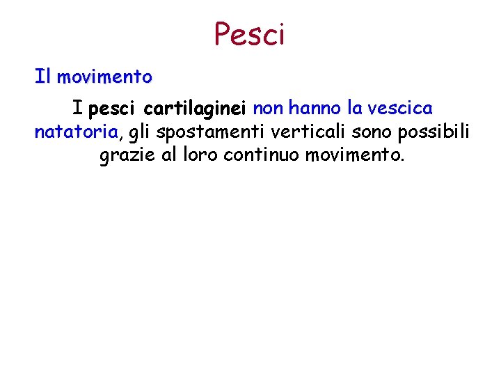 Pesci Il movimento I pesci cartilaginei non hanno la vescica natatoria, gli spostamenti verticali