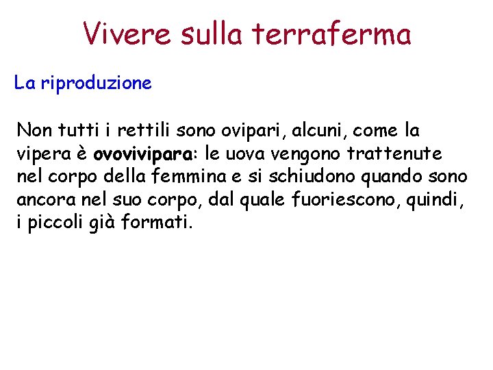 Vivere sulla terraferma La riproduzione Non tutti i rettili sono ovipari, alcuni, come la