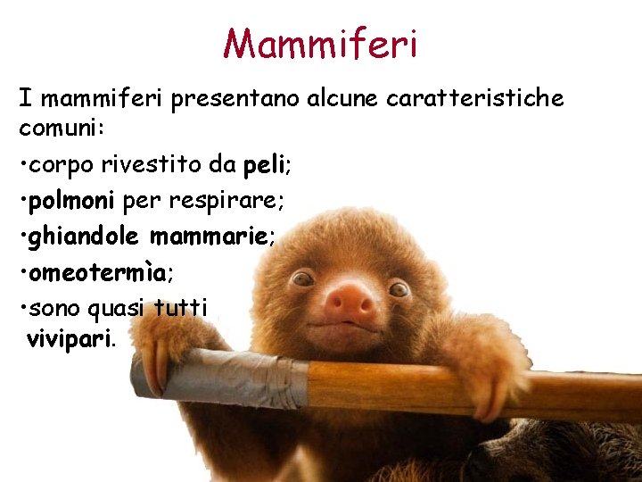 Mammiferi I mammiferi presentano alcune caratteristiche comuni: • corpo rivestito da peli; • polmoni
