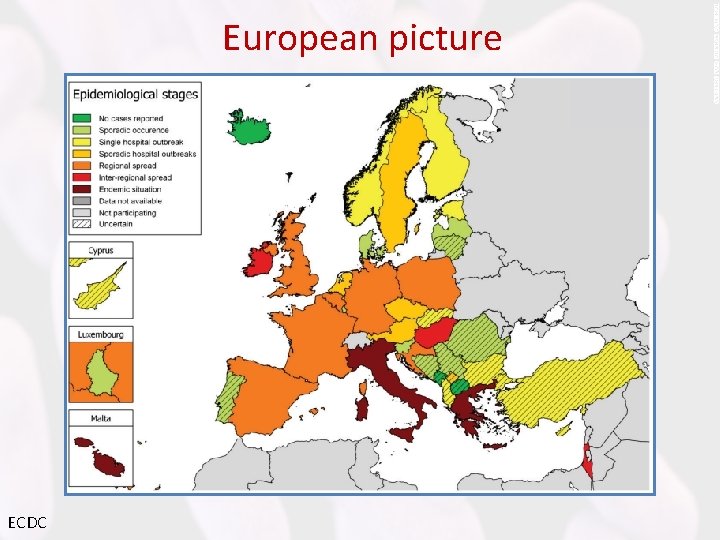 European picture ECDC 