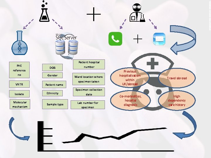 PHE reference no VNTR Isolate Molecular mechanism DOB Gender Patient name Ethnicity Sample type