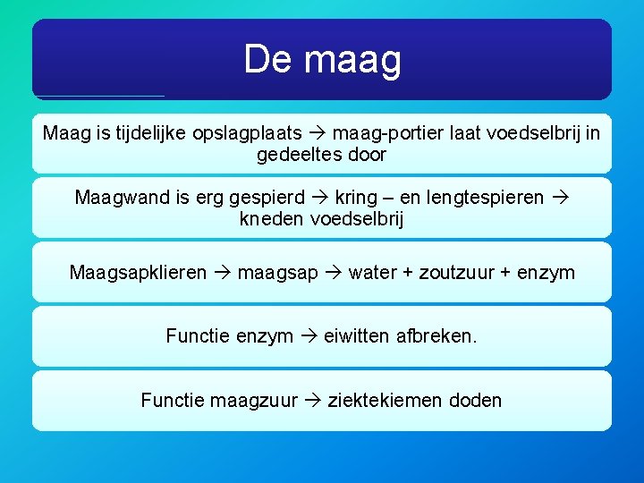 De maag Maag is tijdelijke opslagplaats maag-portier laat voedselbrij in gedeeltes door Maagwand is