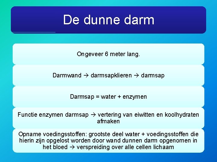 De dunne darm Ongeveer 6 meter lang. Darmwand darmsapklieren darmsap Darmsap = water +
