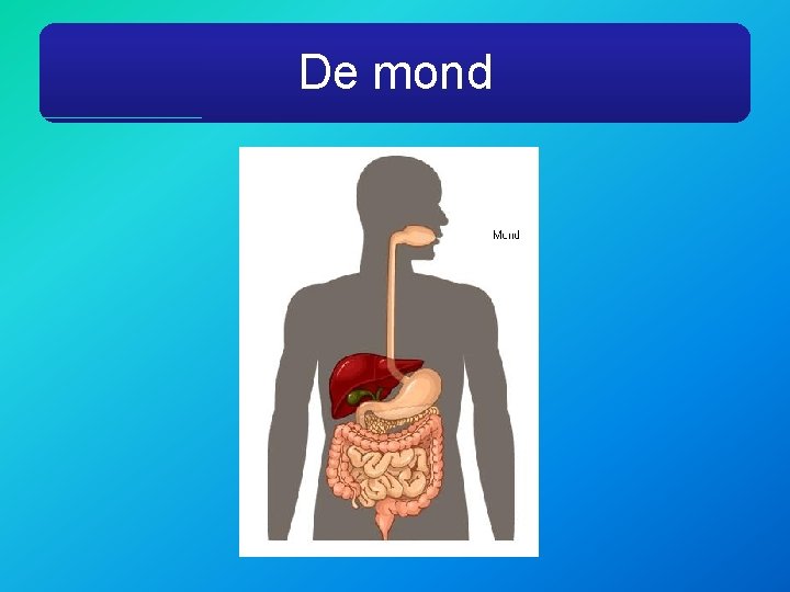 De mond 