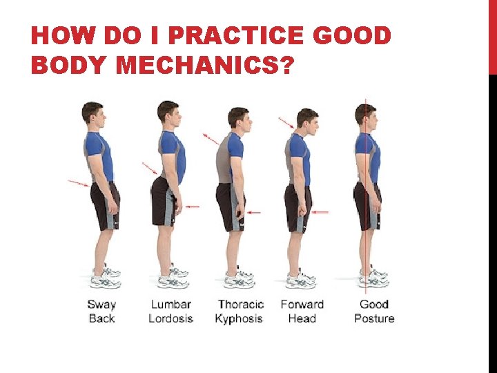 HOW DO I PRACTICE GOOD BODY MECHANICS? 