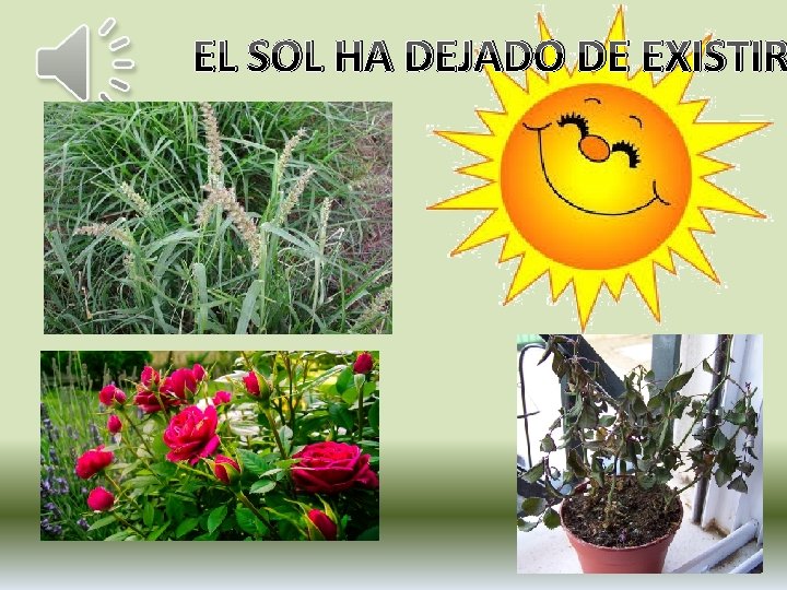 EL SOL HA DEJADO DE EXISTIR 