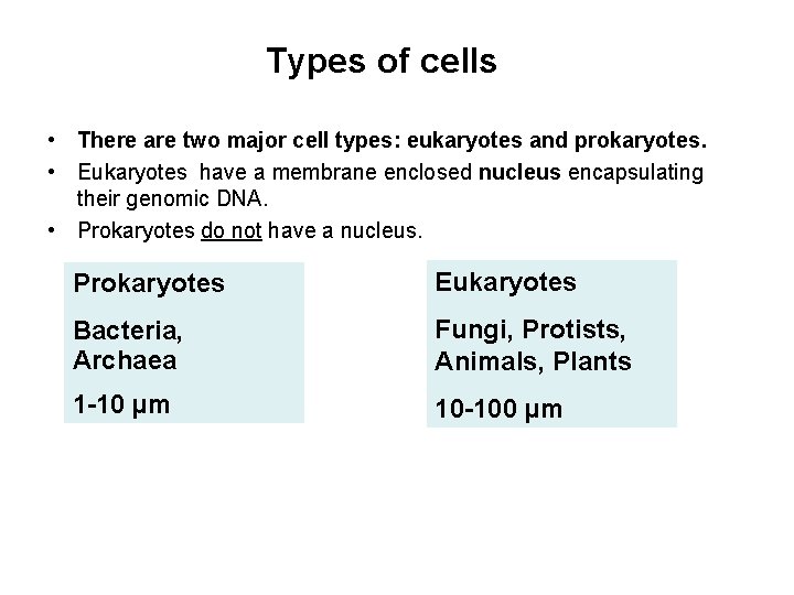 Types of cells • There are two major cell types: eukaryotes and prokaryotes. •