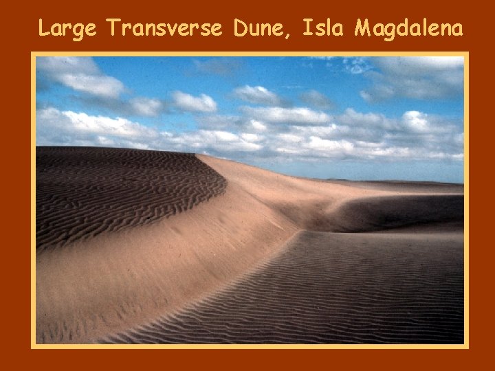 Large Transverse Dune, Isla Magdalena 