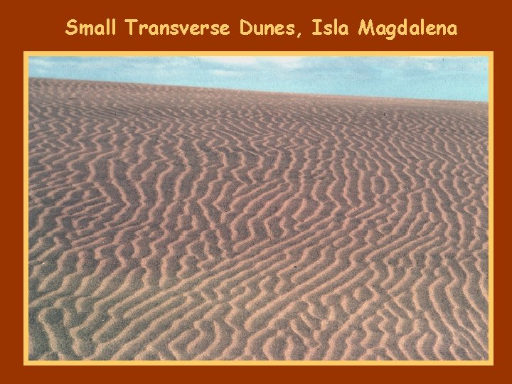 Small Transverse Dunes, Isla Magdalena 
