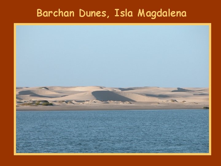 Barchan Dunes, Isla Magdalena 