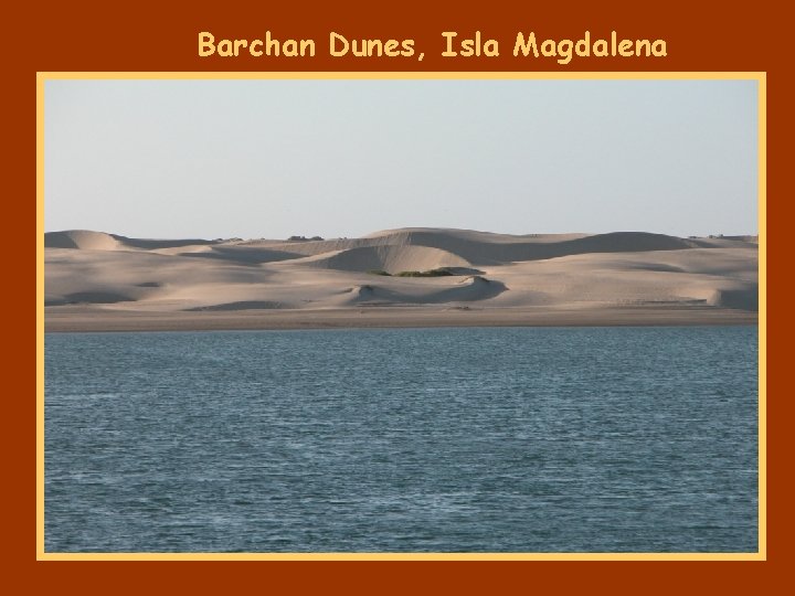 Barchan Dunes, Isla Magdalena 