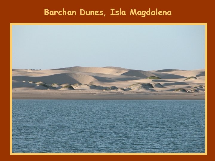 Barchan Dunes, Isla Magdalena 