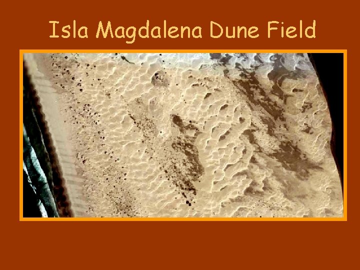 Isla Magdalena Dune Field 