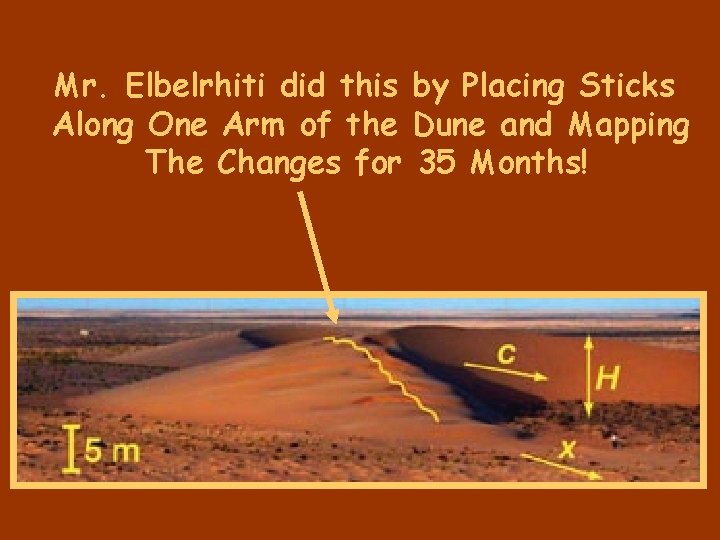 Mr. Elbelrhiti did this by Placing Sticks Along One Arm of the Dune and