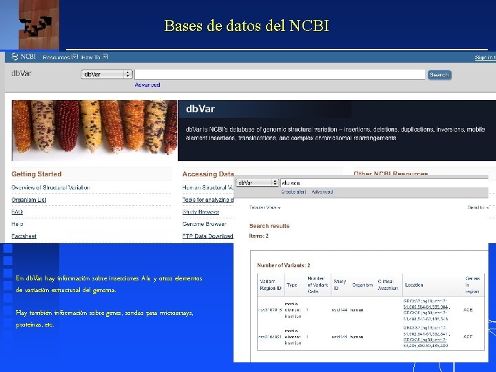 Bases de datos del NCBI En db. Var hay información sobre inserciones Alu y