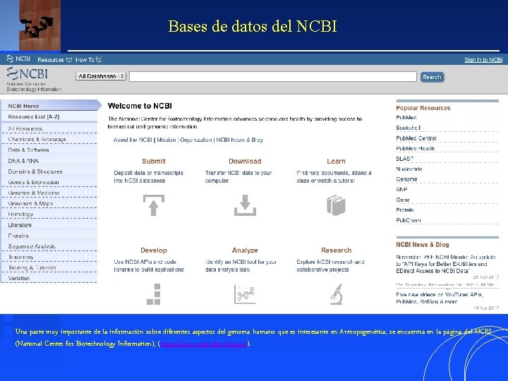 Bases de datos del NCBI Una parte muy importante de la información sobre diferentes