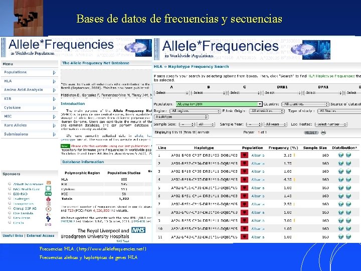 Bases de datos de frecuencias y secuencias Frecuencias HLA. (http: //www. allelefrequencies. net/) Frecuencias