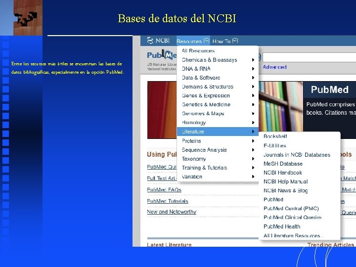 Bases de datos del NCBI Entre los recursos más útiles se encuentran las bases