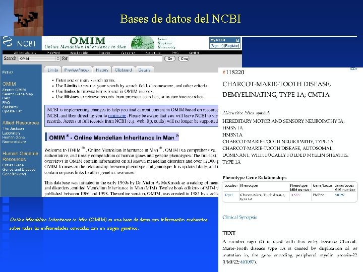 Bases de datos del NCBI Online Mendelian Inheritance in Man (OMIM) es una base