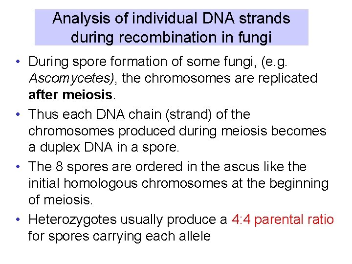 Analysis of individual DNA strands during recombination in fungi • During spore formation of