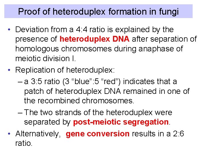 Proof of heteroduplex formation in fungi • Deviation from a 4: 4 ratio is