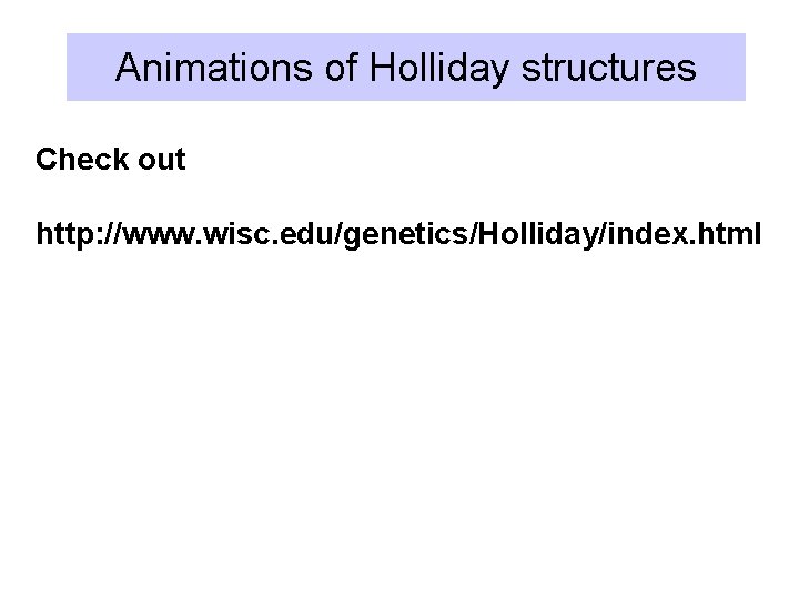 Animations of Holliday structures Check out http: //www. wisc. edu/genetics/Holliday/index. html 