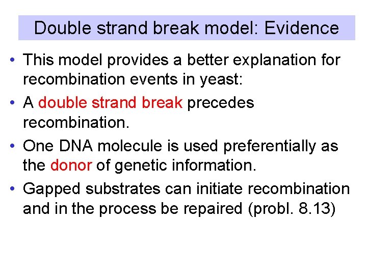 Double strand break model: Evidence • This model provides a better explanation for recombination