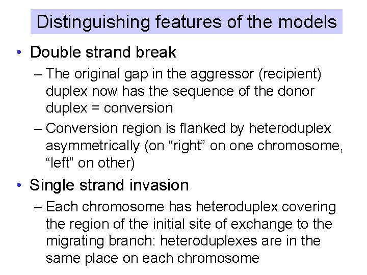 Distinguishing features of the models • Double strand break – The original gap in