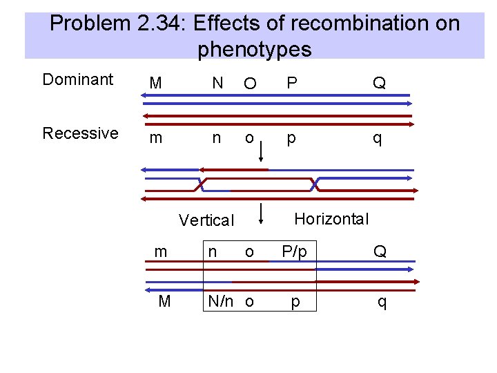 Problem 2. 34: Effects of recombination on phenotypes Dominant M N O P Q