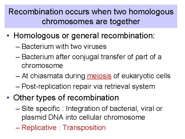 Recombination occurs when two homologous chromosomes are together • Homologous or general recombination: –