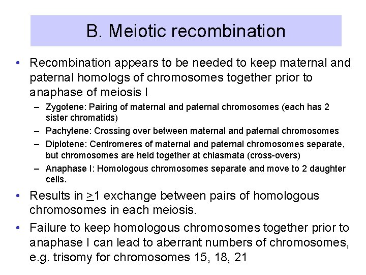 B. Meiotic recombination • Recombination appears to be needed to keep maternal and paternal